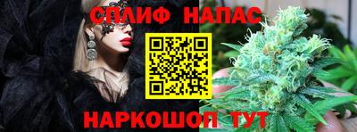 каннабис Кингисепп