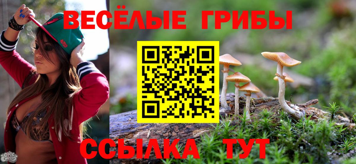 Галлюциногенные грибы мицелий Ижевск