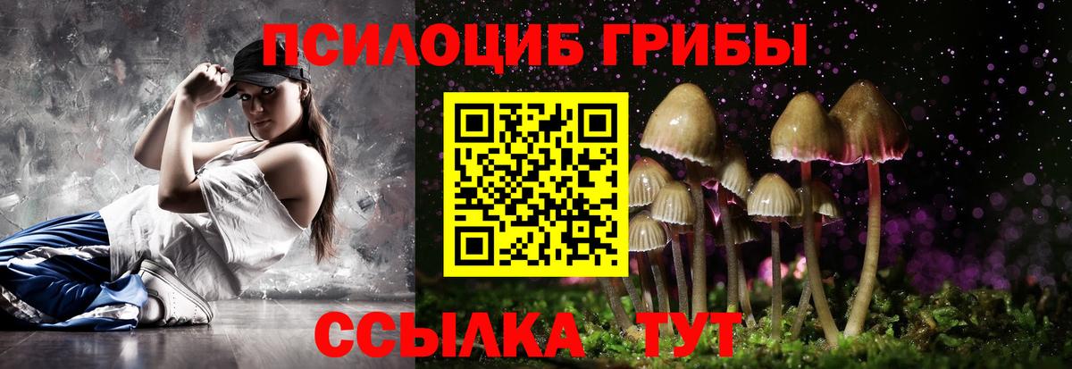 где найти   Вход с VPN  Ижевск  Псилоцибиновые грибы ЛСД 